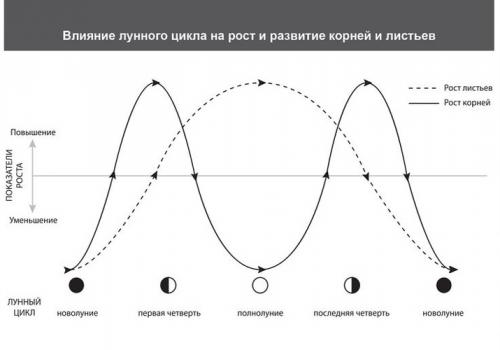 Лунный календарь посадок 2019. Лунный календарь на 2019 год с фазами луны