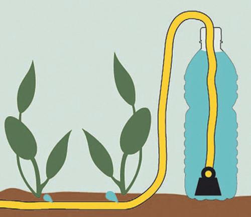 Нужно ли поливать плодовые деревья под зиму. Нужно ли поливать плодовые деревья осенью 15