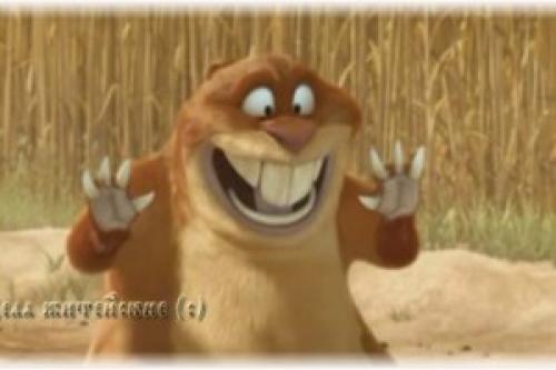 Вред сусликов. Про сусликов. Небольшое дополнение темы о «гостях», роющих землю на дачном участке.