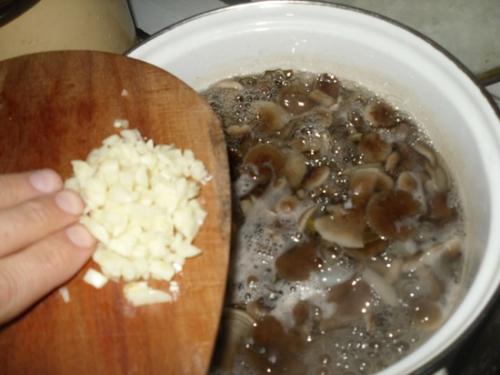 Как мариновать грибы коровьи губы. Как мариновать грибы на зиму в банках с уксусом и маслом: пошаговый фото рецепт