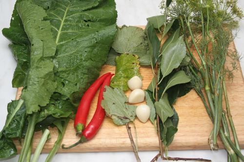 Засолка грибов коровьи губы. Как солить грибы дуньки