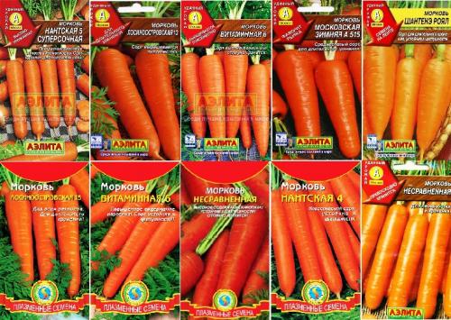 Боится ли морковь заморозков. Боится ли заморозков морковь осенью