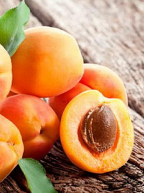 Что значит слива самобесплодная. Слива желтая самоплодная 07