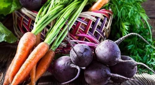 Боится ли тыква заморозков. Советы и вопросы