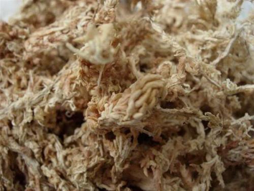 Вставь пропущенные слова мхи и лишайники любят влагу и тень. Читайте также 01