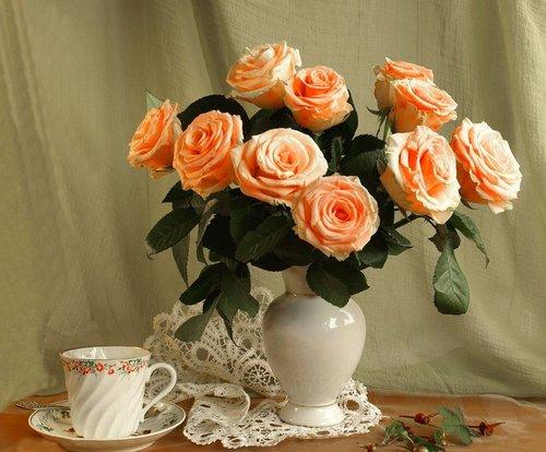 При, какой температуре замерзают срезанные розы. Как сохранить живые розы