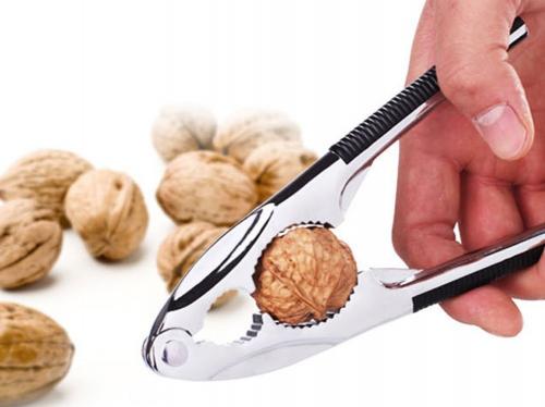 Почему грецкий орех называется так. Почему грецкий орех называется грецким: происхождение названия 03