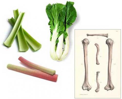 Почему грецкий орех называется так. Почему грецкий орех называется грецким: происхождение названия 01