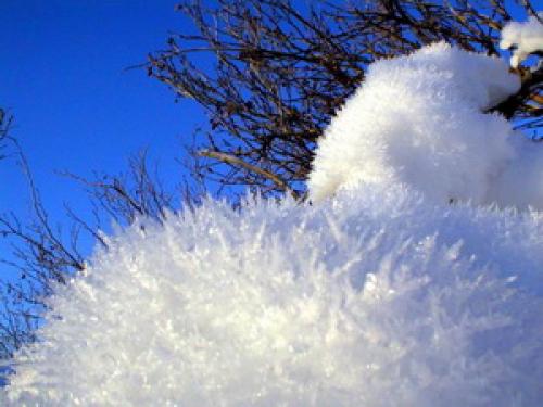 Под, каким снегом растениям теплее пушистым или утоптанным ответ. Каким бывает снег?