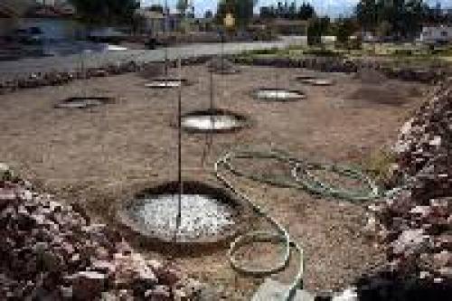 Нужно ли поливать плодовые деревья под зиму. Нужно ли поливать плодовые деревья осенью 11