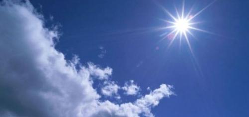 Приметы о погоде по птицам. Народные приметы по птицам