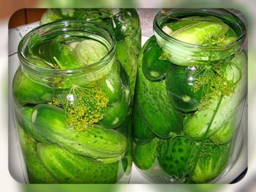 Когда солить огурцы на зиму по лунному календарю 2019. Когда солить огурцы по лунному календарю в 2020 году