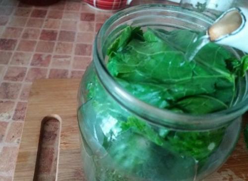 Когда солить огурцы на зиму в банках. Как солить огурцы на зиму в банках. Простой рецепт