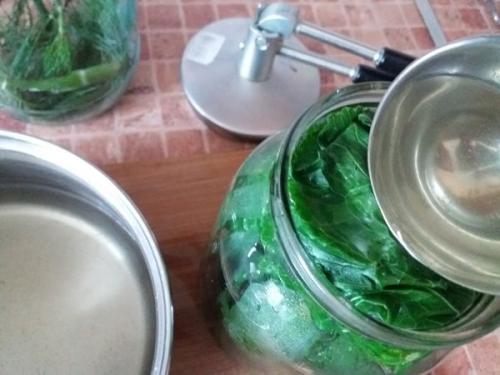 Когда солить огурцы на зиму в банках. Как солить огурцы на зиму в банках. Простой рецепт