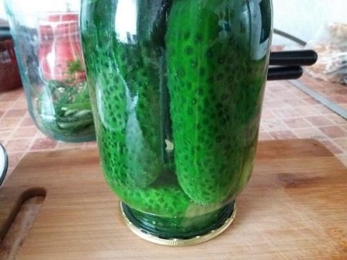 Когда солить огурцы на зиму в банках. Как солить огурцы на зиму в банках. Простой рецепт