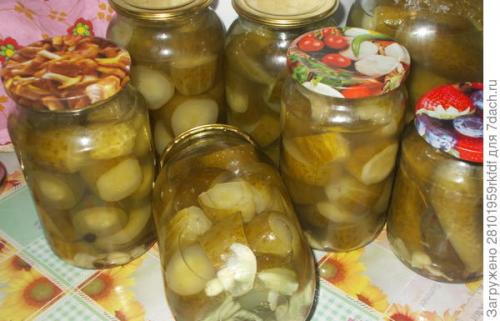 Когда солить огурцы в августе 2019. Квашеные огурцы в банках