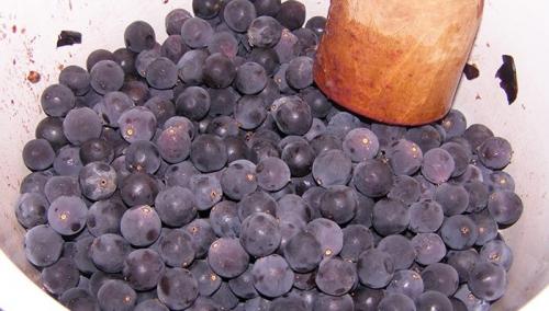 Домашнее вино из винограда пошаговый рецепт. 2 простых рецепта домашнего вина из винограда