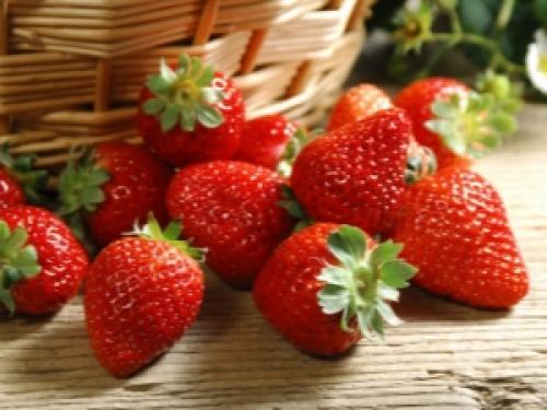 Нужно ли поливать деревья под зиму. Подготовка плодовых деревьев к зиме 04