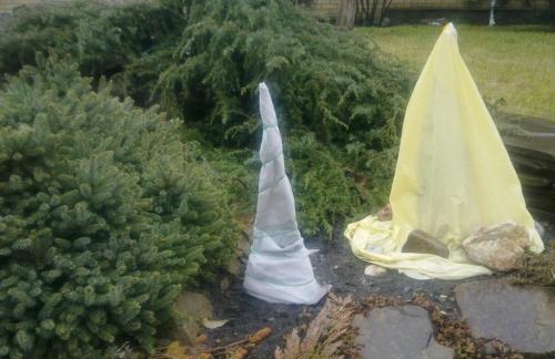 Как утеплить на зиму юкку. Как утеплить юкку на зиму