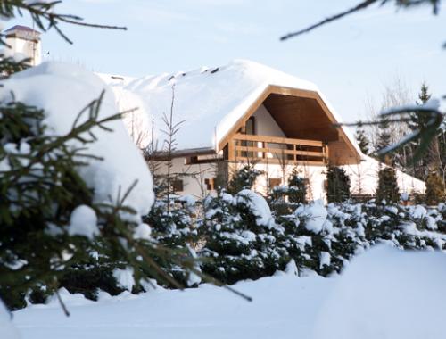 Когда укрывать можжевельник на зиму. Зачем укрывать можжевельник на зиму 04