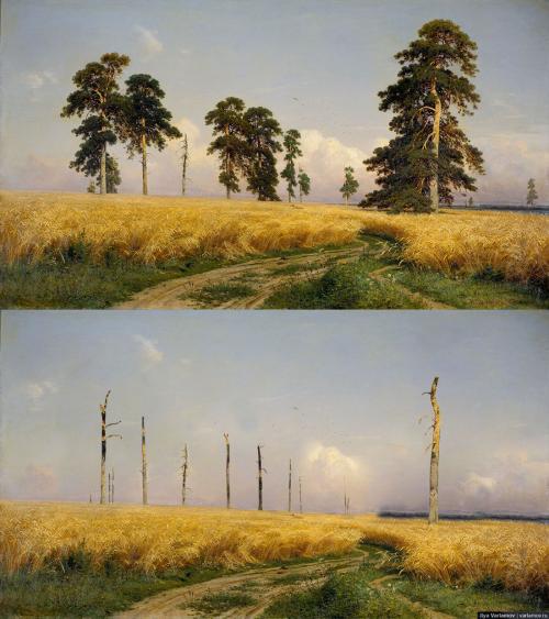 Зачем красят деревья варламов. Русский лес глазами наших чиновников