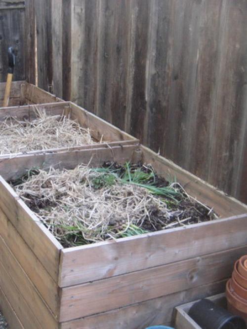 Как использовать солому осенью в огороде 02