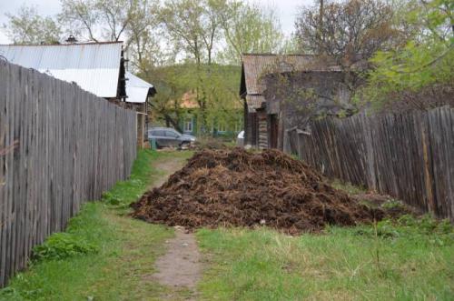 Когда лучше запахивать навоз осенью или весной