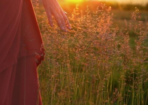 Что можно сделать из ягод лимонника китайского. Что можно приготовить из ягод китайского лимонника? 03