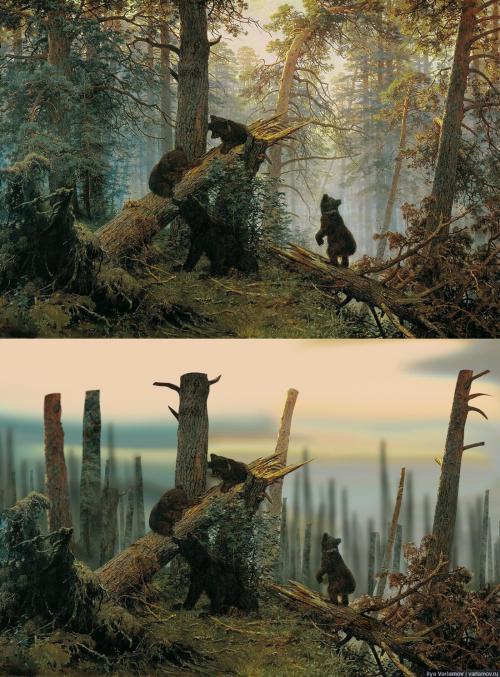 Зачем красят деревья варламов. Русский лес глазами наших чиновников