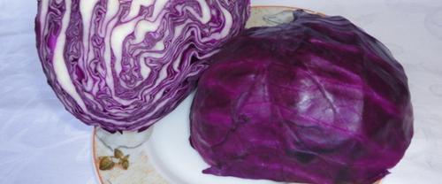 Когда капуста появилась в россии. История появления капусты на Руси. 01