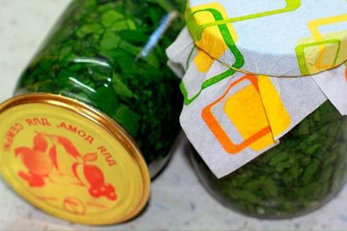 Как законсервировать щавель на зиму рецепт. Как консервировать щавель на зиму