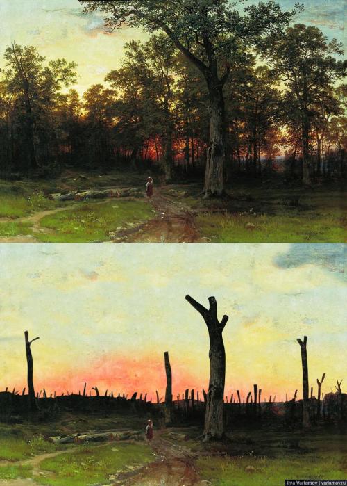 Зачем красят деревья варламов. Русский лес глазами наших чиновников