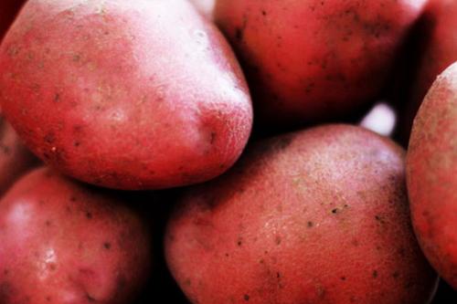 Красный картофель для чего. Полезные свойства красного картофеля, замедляющего процессы старения
