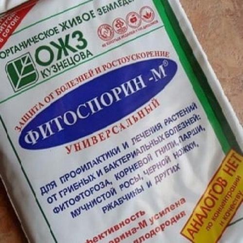 Можно ли замачивать лук перед посадкой в фитоспорине. Обработка лука перед посадкой под зиму