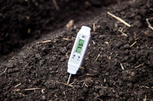 Когда сажать тыкву на рассаду 2020. Когда сажать тыкву семенами в открытый грунт, в каком месяце