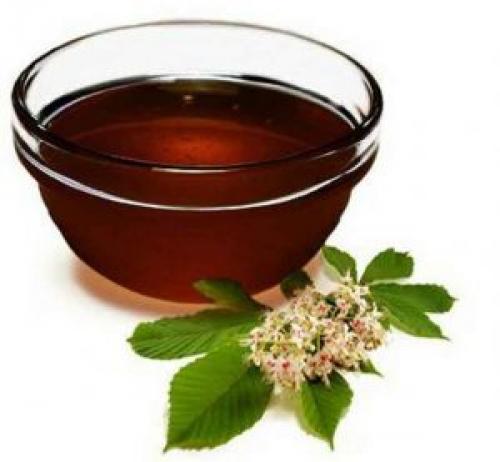 Каштановый мед в кулинарных и лечебных целях