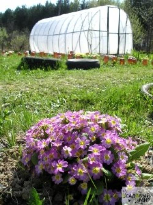 Когда лучше устанавливать теплицу из поликарбоната весной или осенью. Когда лучше устанавливать теплицу? 07