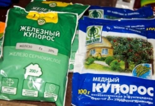 Медный купорос и железный купорос. Применение купороса на виноградниках осенью 07