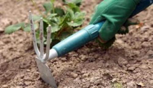 Как рыхление земли влияет на почву егэ. Зачем рыхлят почву при выращивании растений