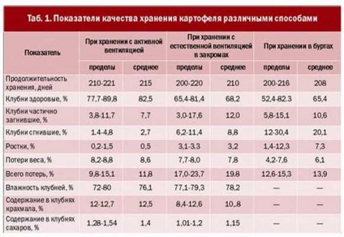 При, какой температуре замерзает картофель в погребе. Как не допустить замерзание запасов