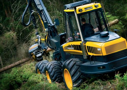 Как получить делянка леса. Бизнес на вырубке леса. 01 Как получить делянка леса. Бизнес на вырубке леса. 01