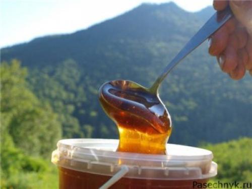 Должен ли горчить мед. Нужен хороший мед? 03