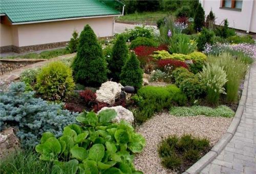 Можжевельник на зиму укрывать. Зачем укрывать можжевельник на зиму 08