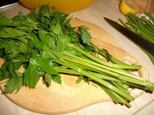 Как сушить сельдерей. Как сушить листовой сельдерей