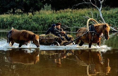 Деревня в россии. Как живёт русская деревня в 21 веке?