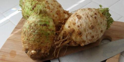 Как использовать сельдерей в пищу. Корень сельдерея – польза