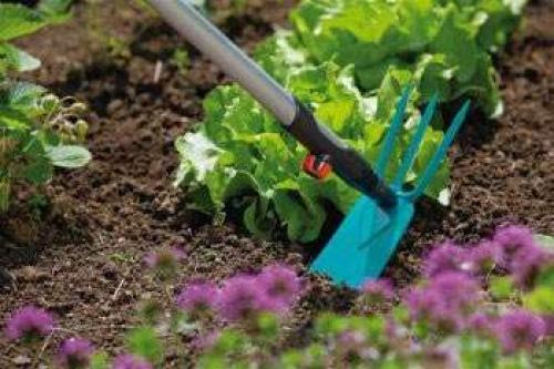 При выращивании растений рыхлят почву для улучшения. Зачем нужно рыхлить почву в огороде или в горшках с цветами