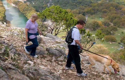 Зачем стволы деревьев красят белой краской. Почему и зачем красят деревья в белый цвет 04