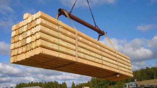 Льготный лес на строительство дома. Бесплатный лес на строительство: как выбить его у государства?