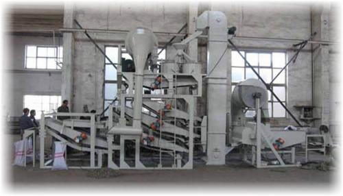 Как сушить семечки подсолнуха в домашних условиях. Продажа, обмен, дар растений 01